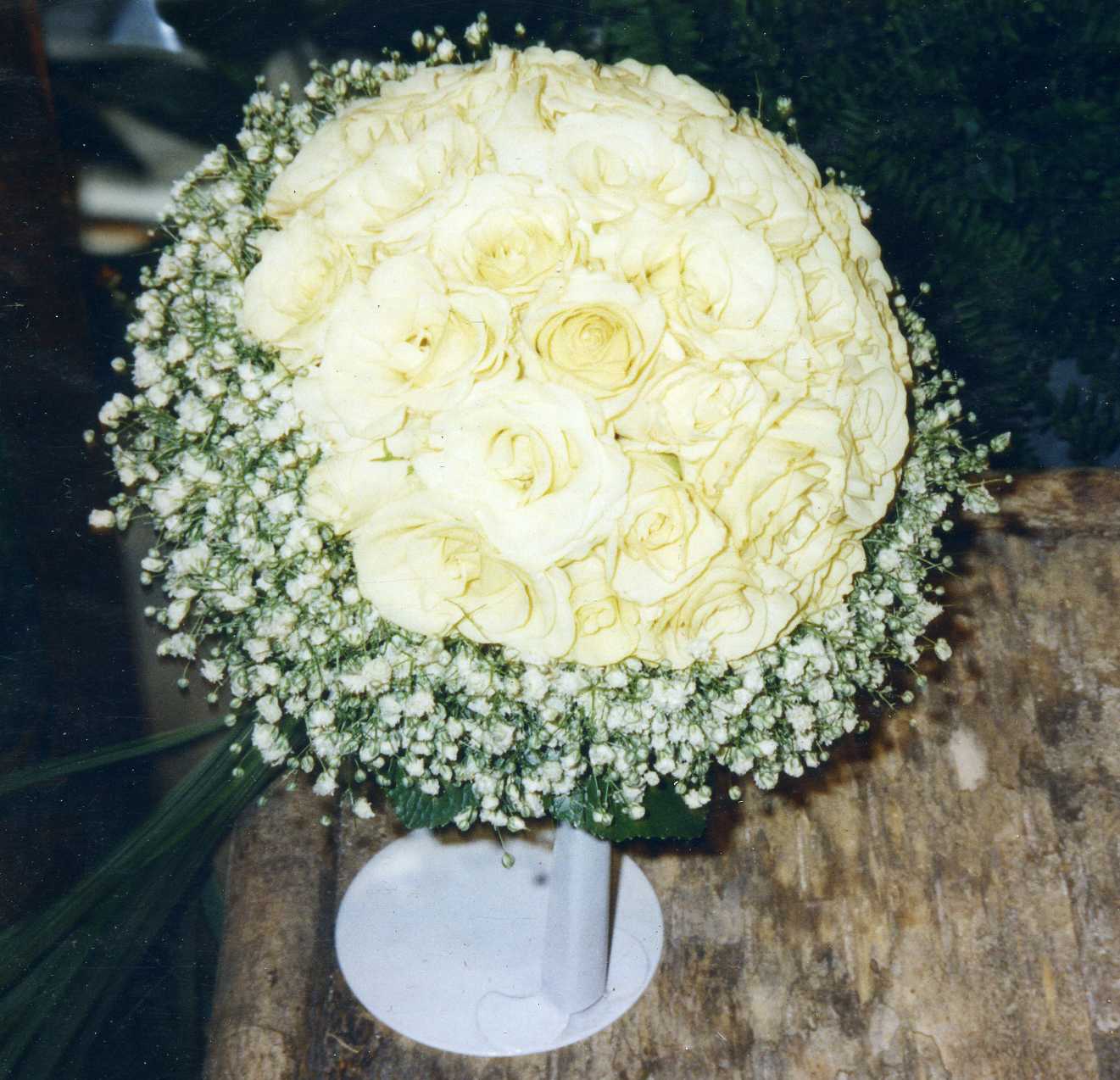 Rosas-paniculata